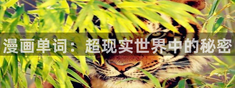 哔咔漫画ios网页版入口下载：漫画单词：超现实世界中的秘密